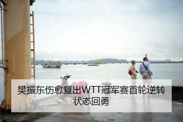 樊振东伤愈复出WTT冠军赛首轮逆转状态回勇